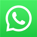 Whatsapp下载