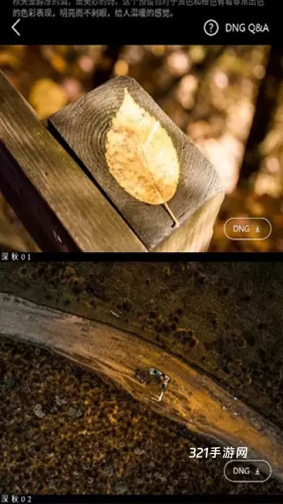 Koloro滤镜大师调色最新版_https://www.321sy.com_摄影图像_第3张