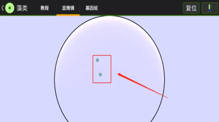 细胞实验室汉化版_https://www.321sy.com_休闲益智_第3张